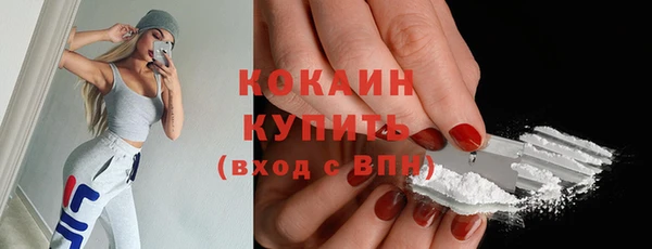 стаф Богородск
