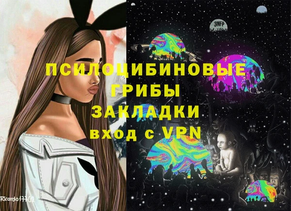 стаф Богородск