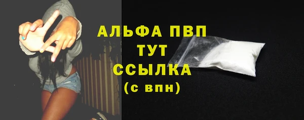 прущий лед Богданович
