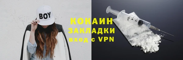 прущий лед Богданович