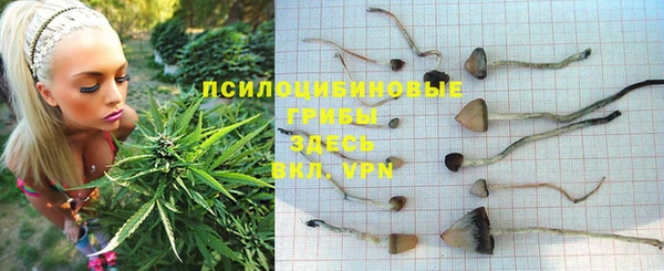 стаф Богородск