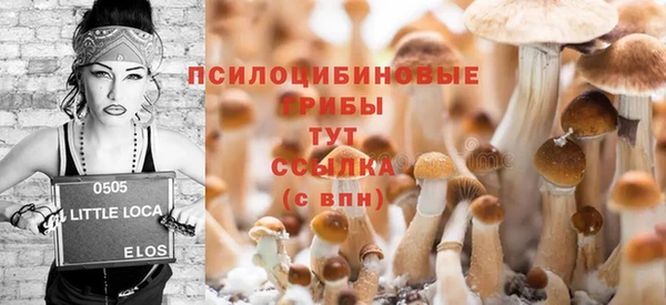 стаф Богородск