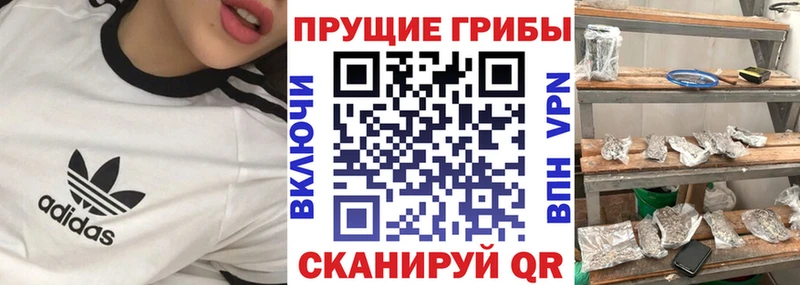 Галлюциногенные грибы Psilocybe  купить  цена  Облучье 
