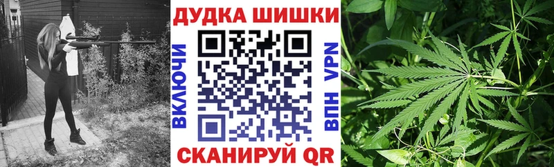 Бошки марихуана сатива  наркошоп  Облучье 